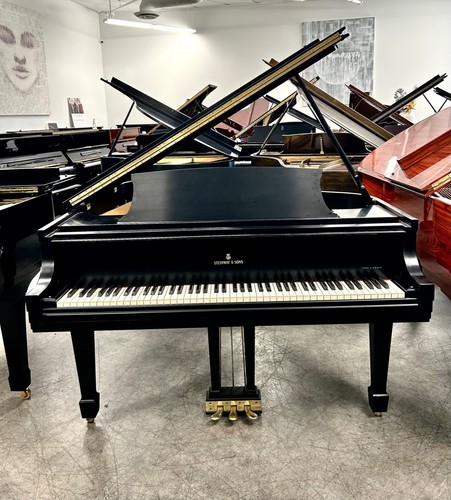 Steinway grand piano 7 - grand,