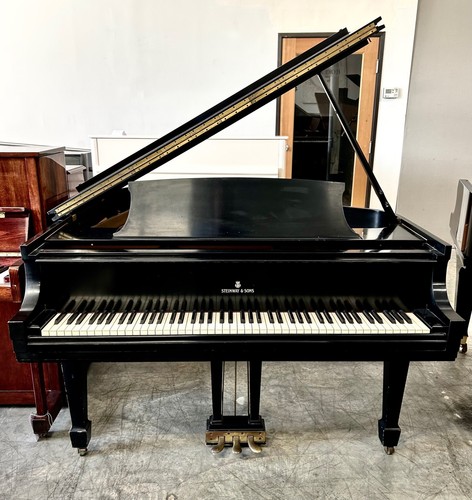 Steinway grand piano 1 - grand,