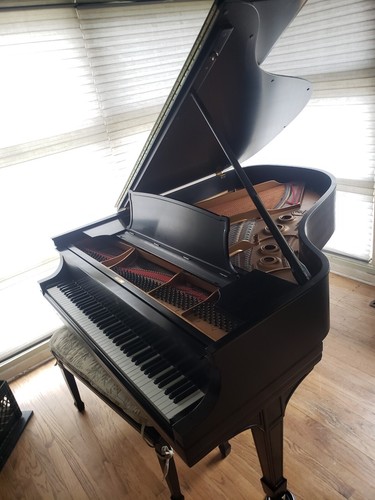 Steinway grand piano - grand, 5'10