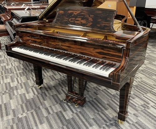 Steinway grand piano - b,
