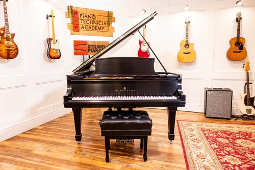 Steinway grand piano - steinway, 6'4"