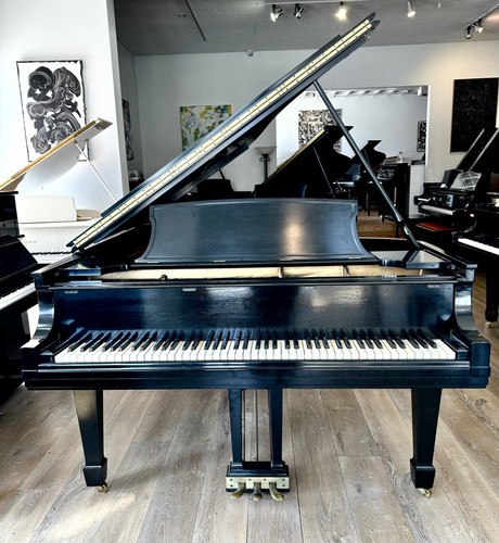 Steinway grand piano 11 - steinway, b