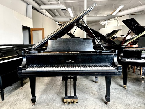 Steinway grand piano 7 - steinway, m
