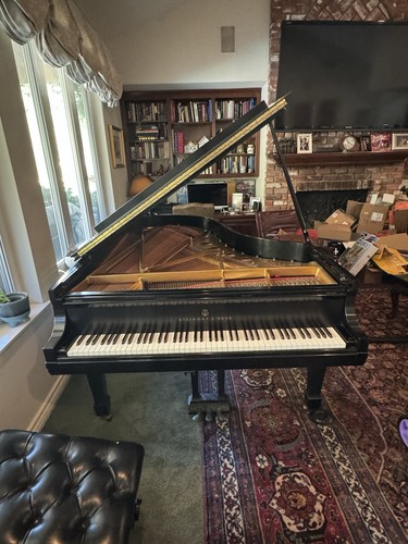 Steinway grand piano model - model, b