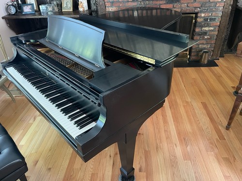 Beautiful steinway sons - steinway,