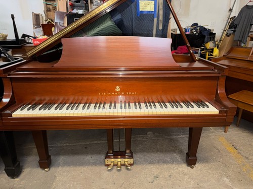 Steinway grand piano - m,