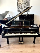 Steinway M Grand Piano 5'7"