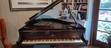 signed Steinway & Sons medium