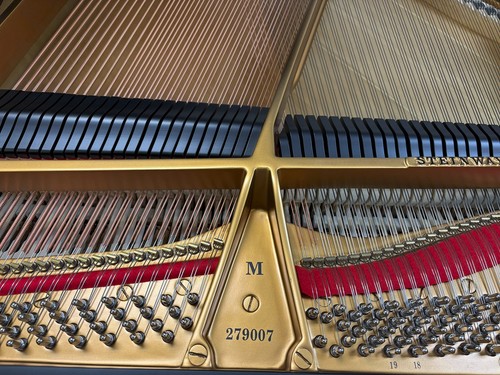 Gorgeous steinway sons model - sons,