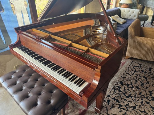 Steinway grand piano - piano, o