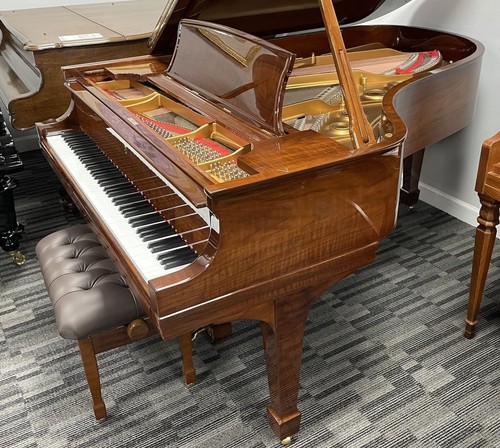 Steinway grand piano - piano,