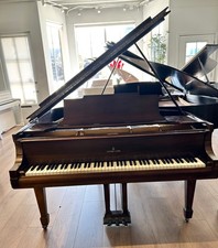 Steinway M Grand Piano 5'7"