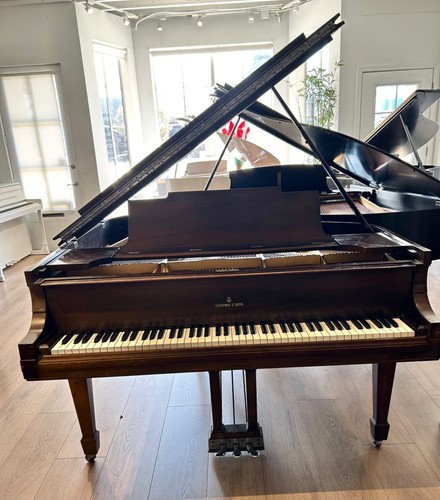 Steinway grand piano - m, 5'7"