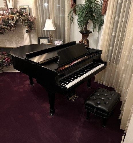 2014 steinway and - steinway, m